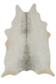 Grand Canyon GC-15 Silver/Grey Area Rug
