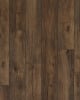 Hillside Hickory Acorn Restoration 7