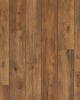 Hillside Hickory Ember Restoration 7