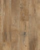 Historic Oak Ash Restoration 6