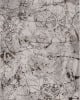 Inspire 7502 Ivory/Grey Escape Area Rug