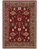 Lilihan 43s Red/Black Area Rug