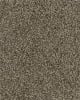 Dove Creek SmartStrand Textured 45oz Carpet