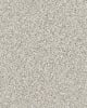Pikes Peak Textured Nylon Carpet