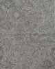 Serenity 1258 Grey Playa Area Rug