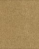 Soft Excellence Textured SmartStrand Carpet