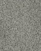 Superior Selection Textured SmartStrand Carpet