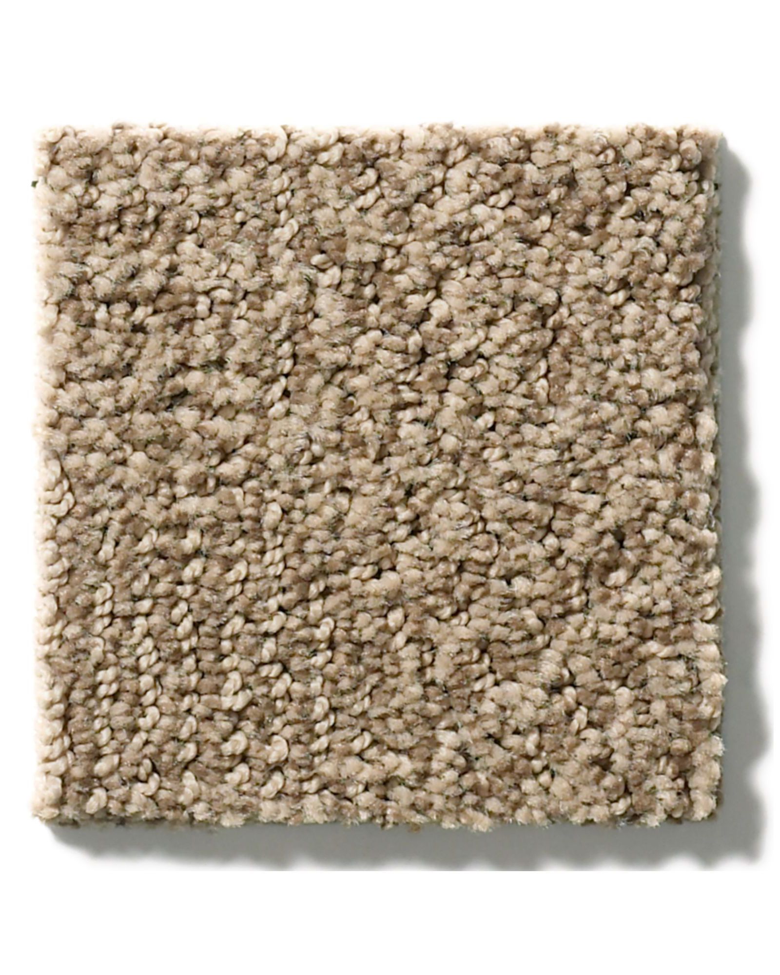 Anderson Tuftex Ario Bay Shore Carpet Exchange