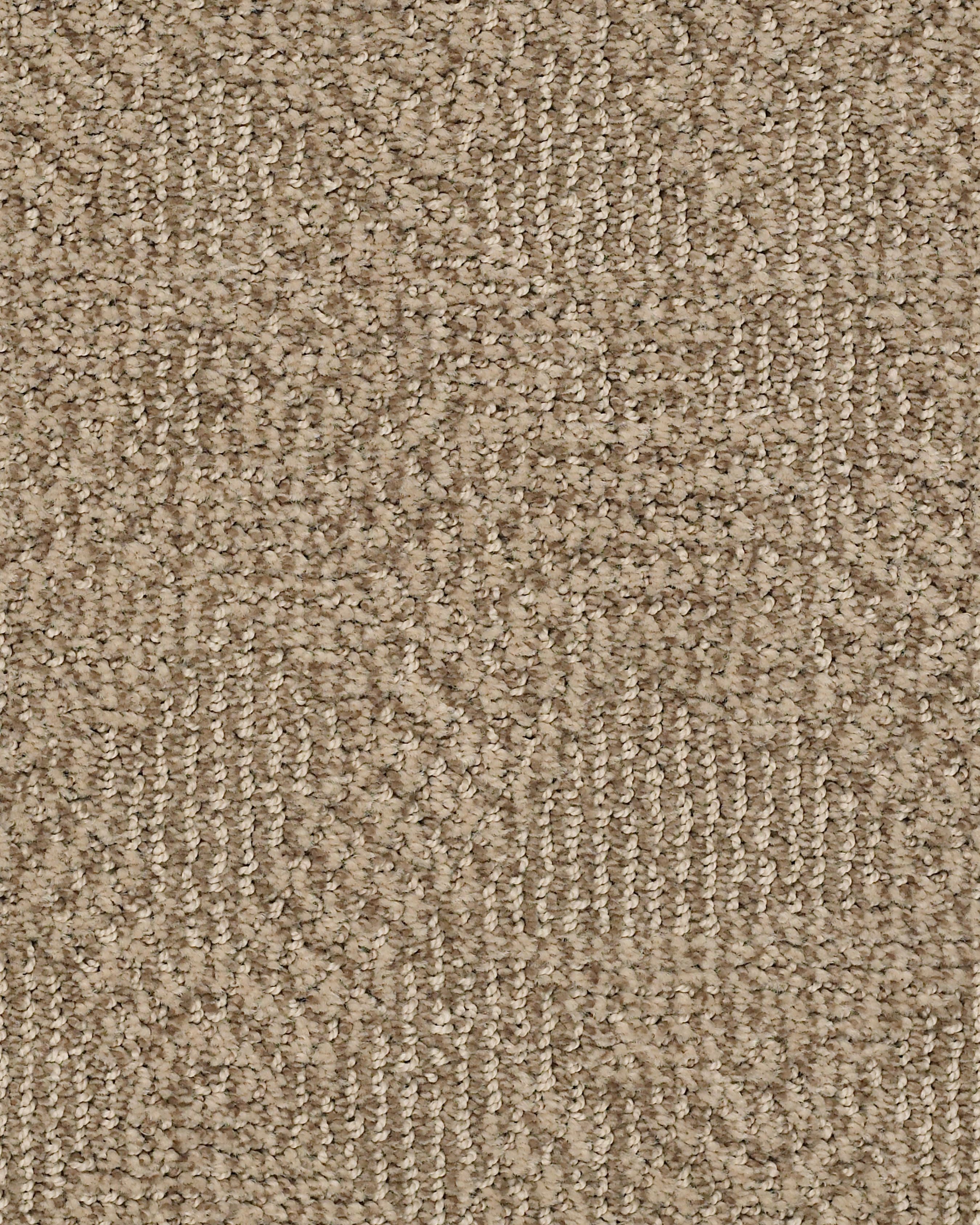 Anderson Tuftex Ario Bay Shore Carpet Exchange