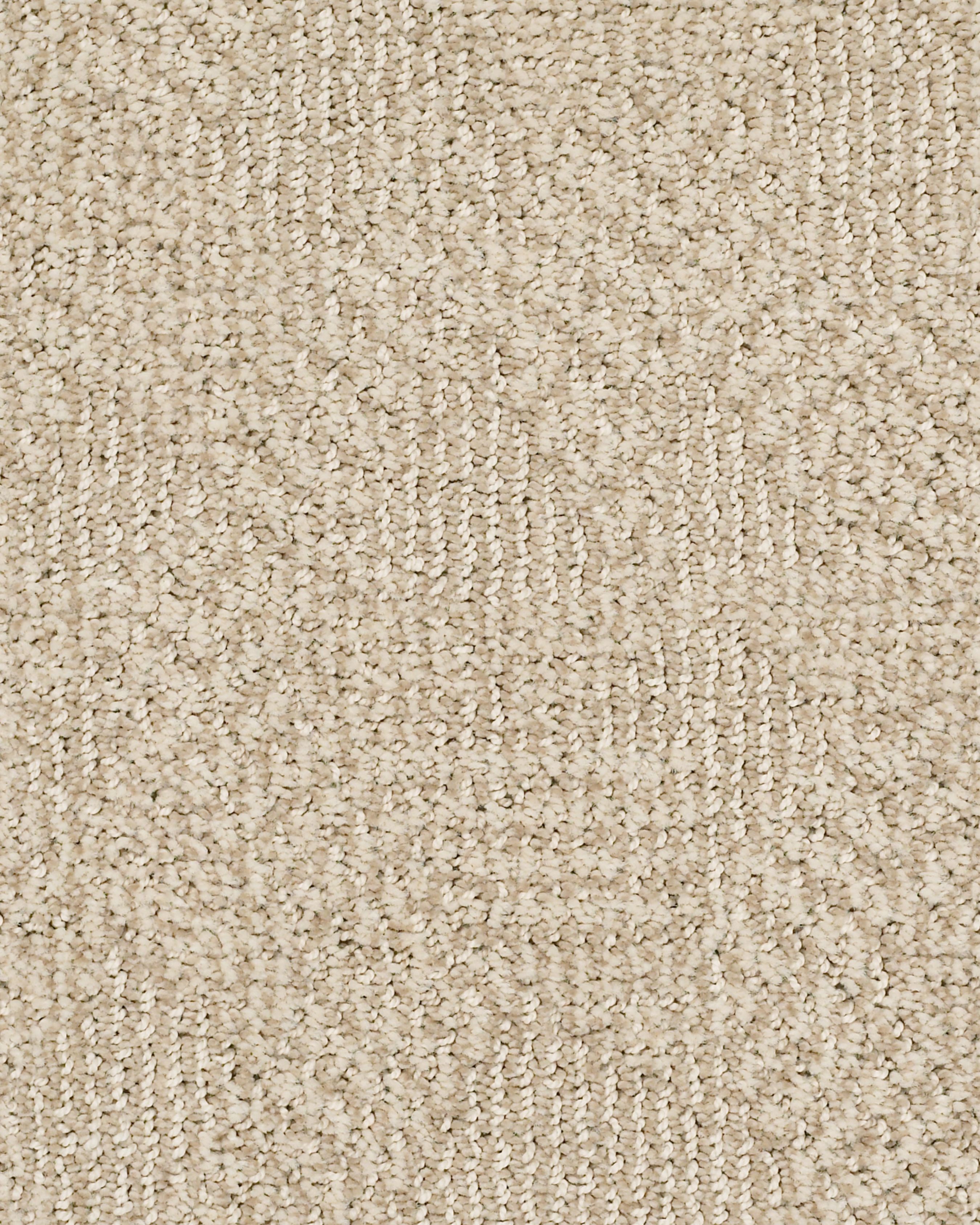 Anderson Tuftex Ario Parchment Carpet Exchange