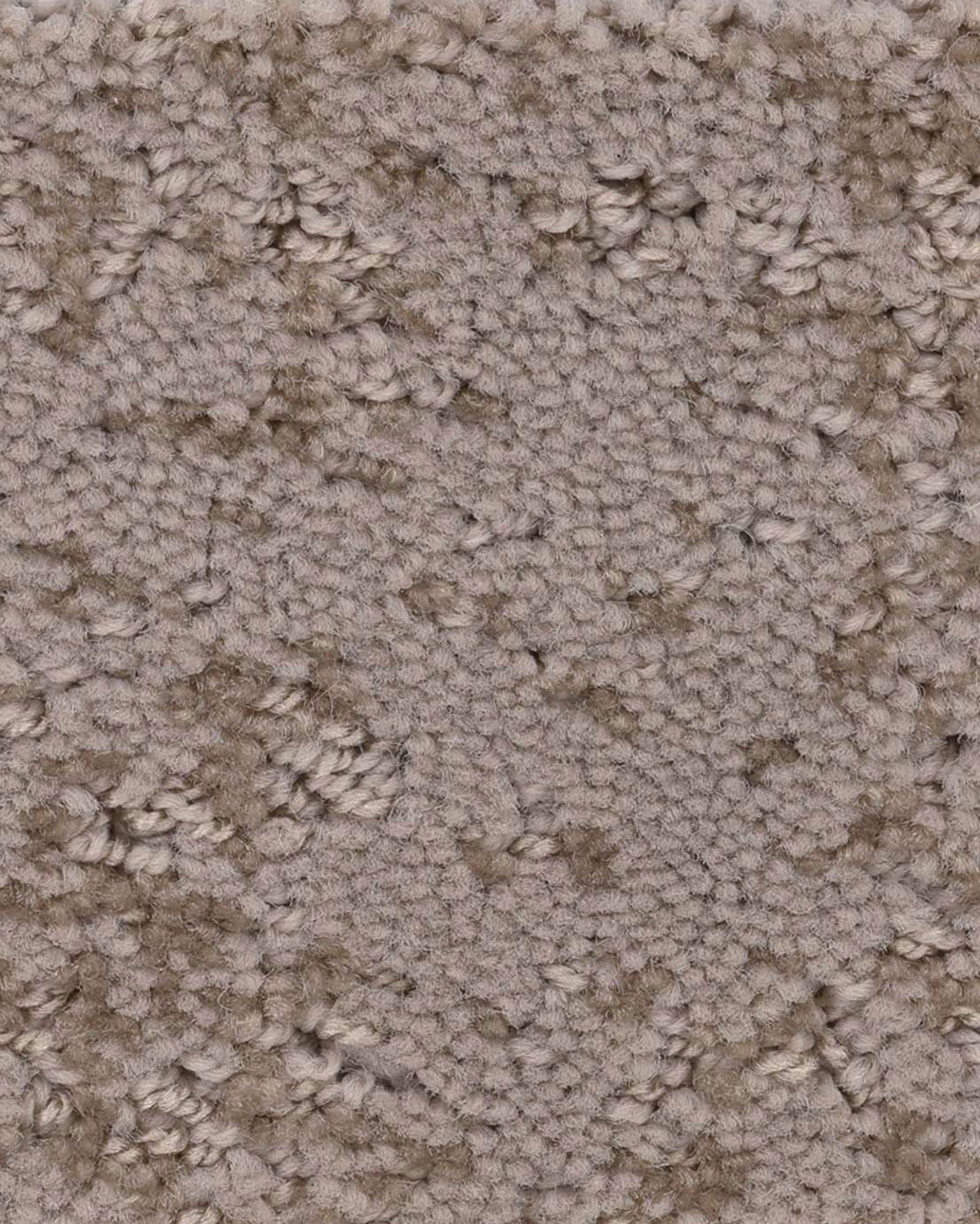 Shaw CC73B Artistic Presence Tumbleweed Carpet Exchange