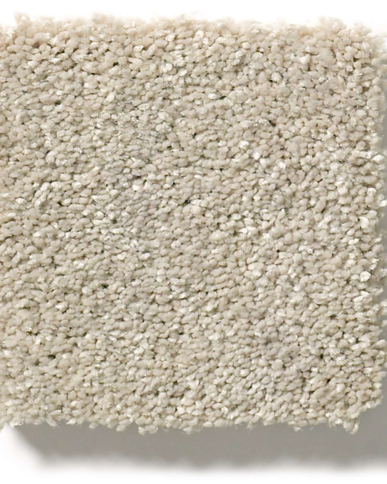 Shaw E9639 Basic Rules Arctic Fox Carpet Exchange