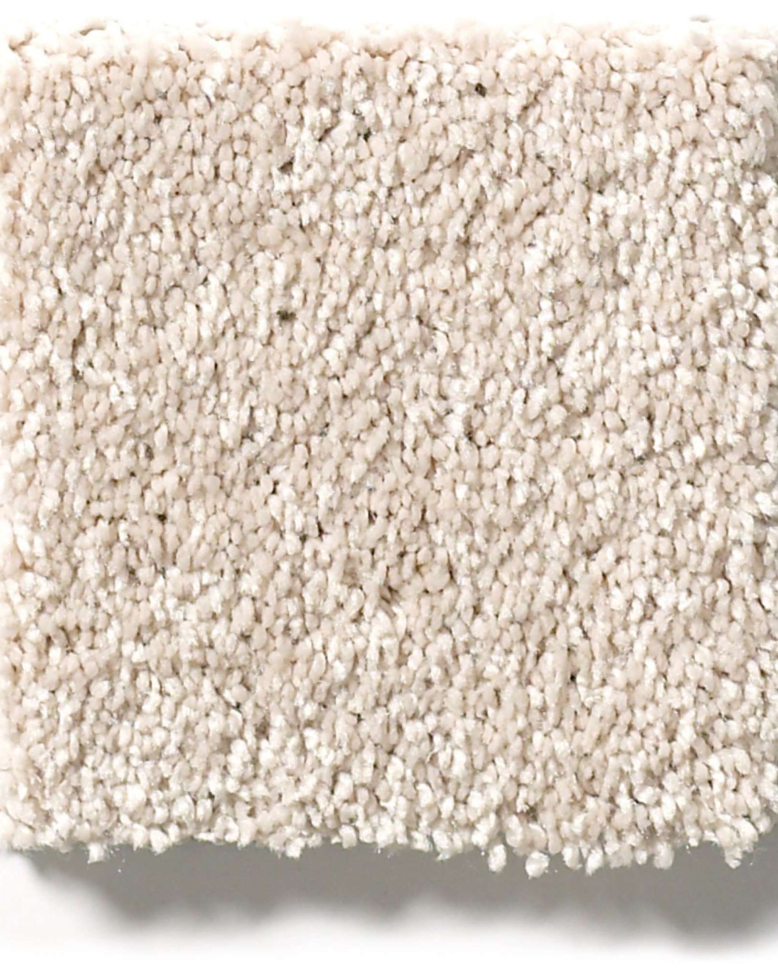 Shaw E9639 Basic Rules Blush Carpet Exchange