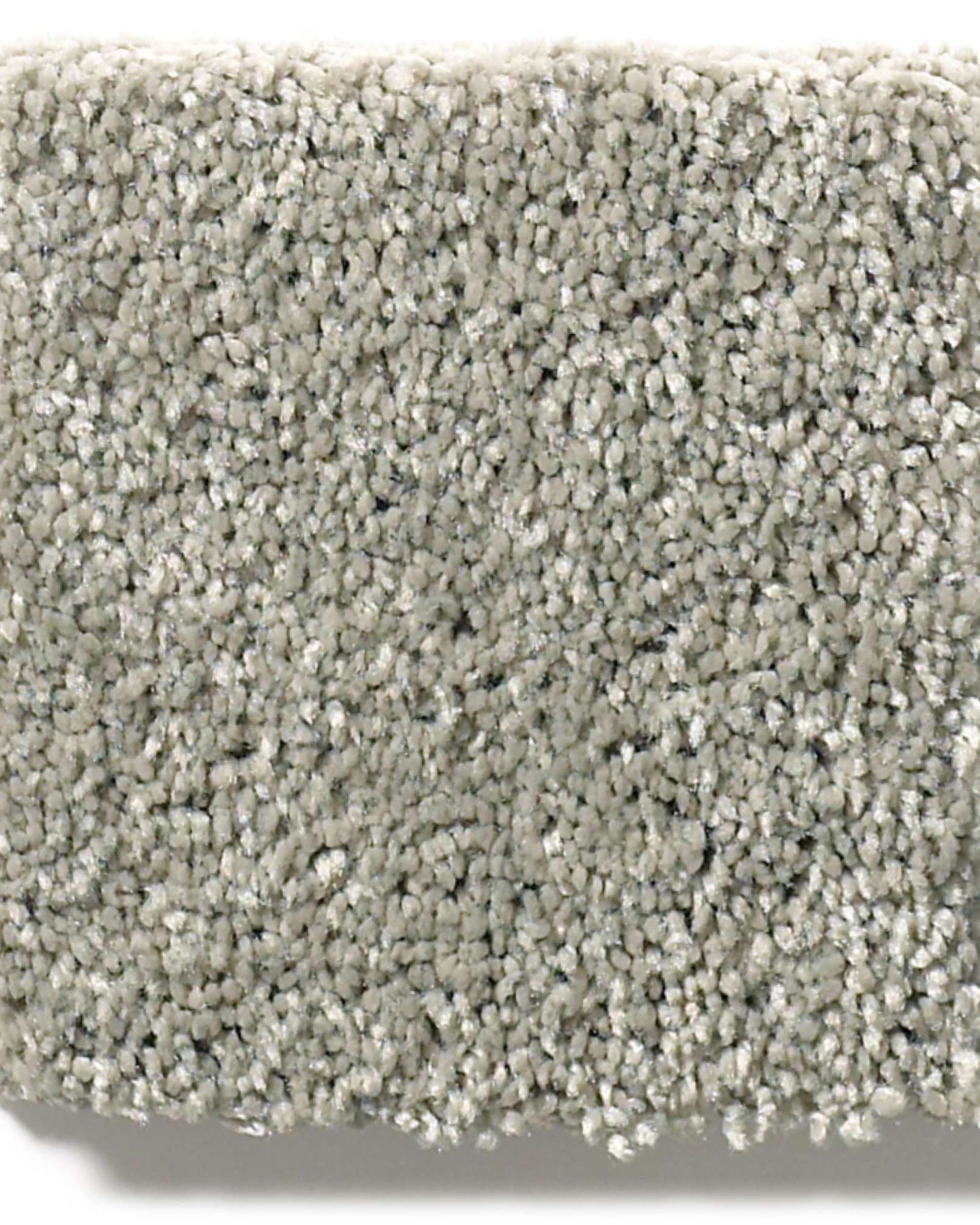 Shaw E9639 Basic Rules Flax Carpet Exchange