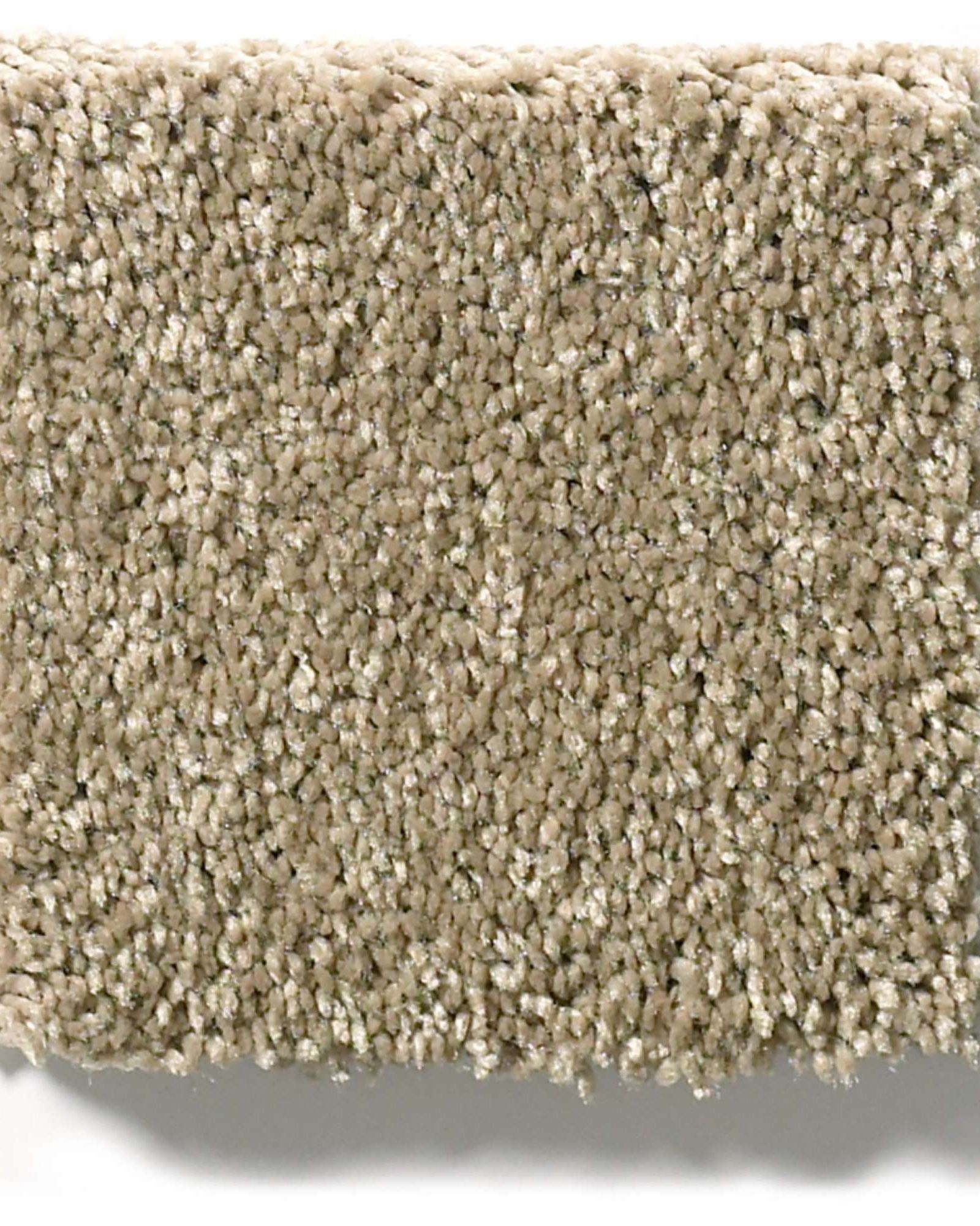 Shaw E9639 Basic Rules Gold Rush Carpet Exchange