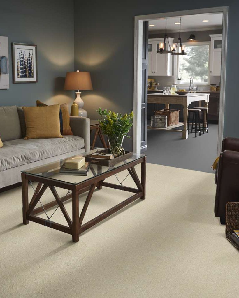 Shaw E9639 Basic Rules Linen Carpet Exchange