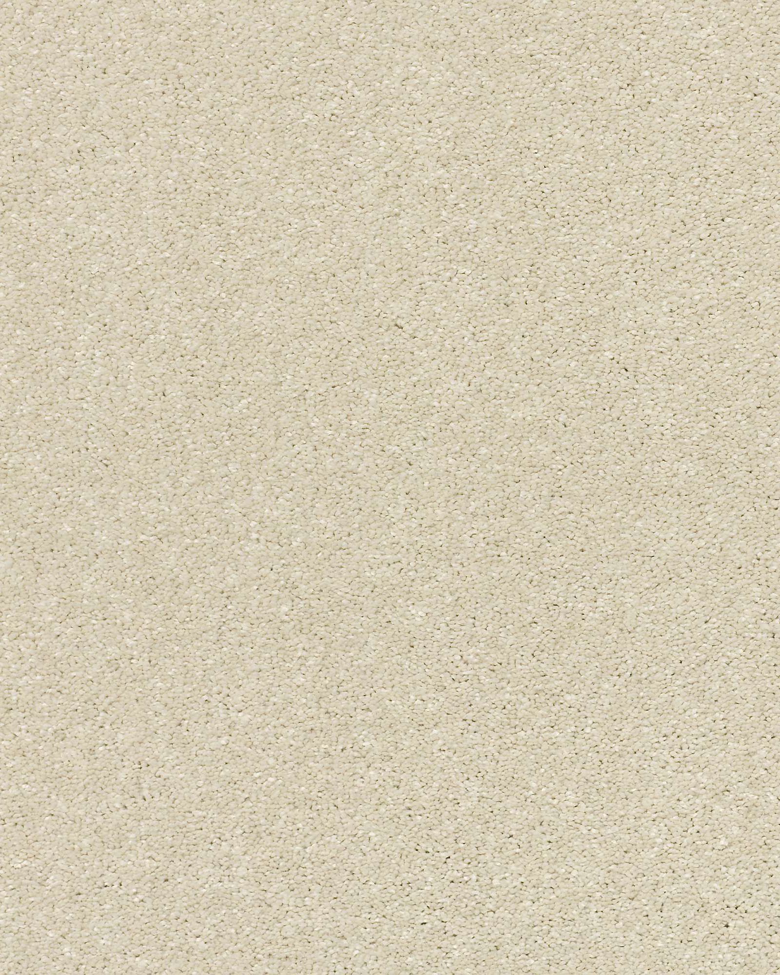 Shaw E9639 Basic Rules Linen Carpet Exchange