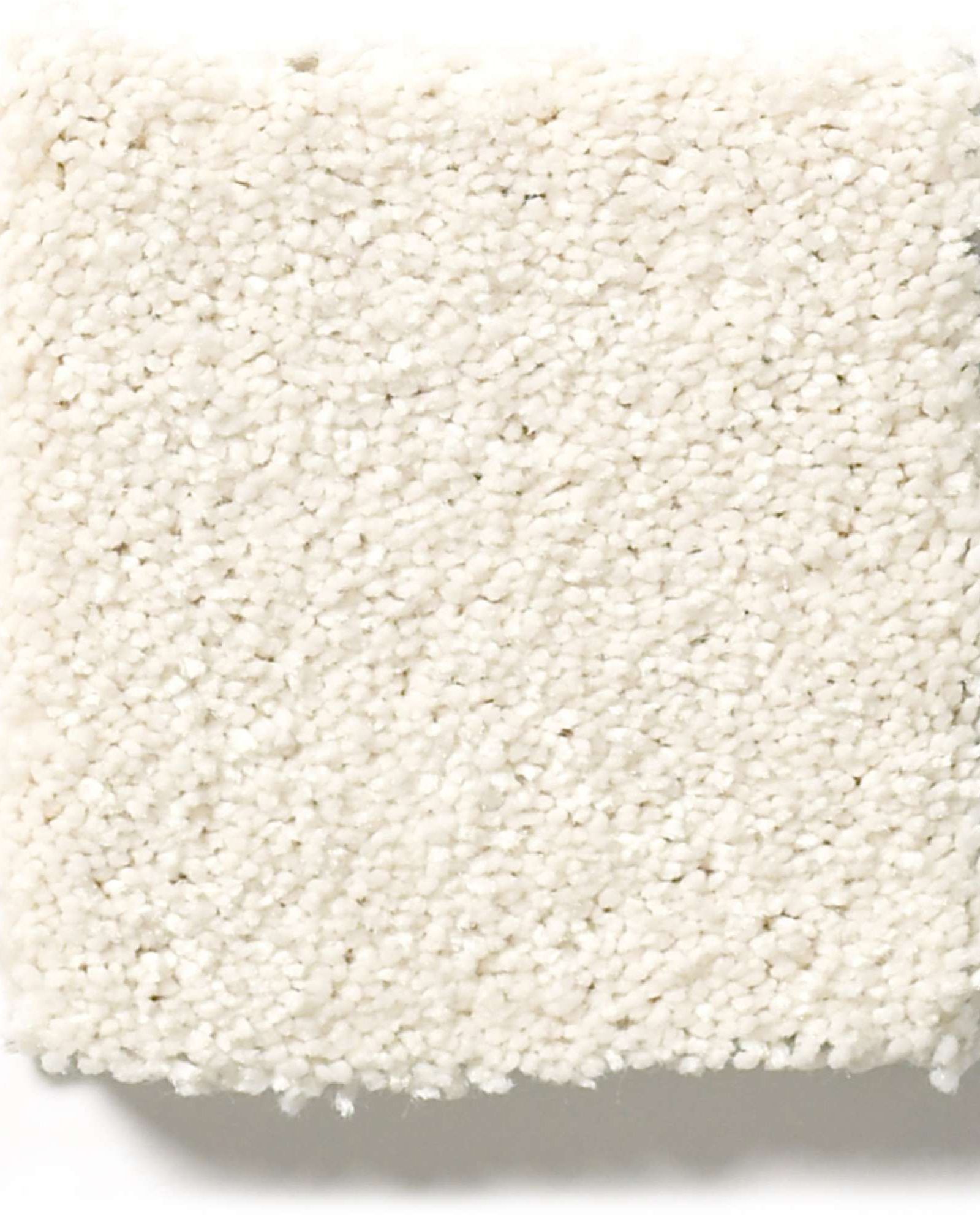 Shaw E9639 Basic Rules Oatmeal Carpet Exchange