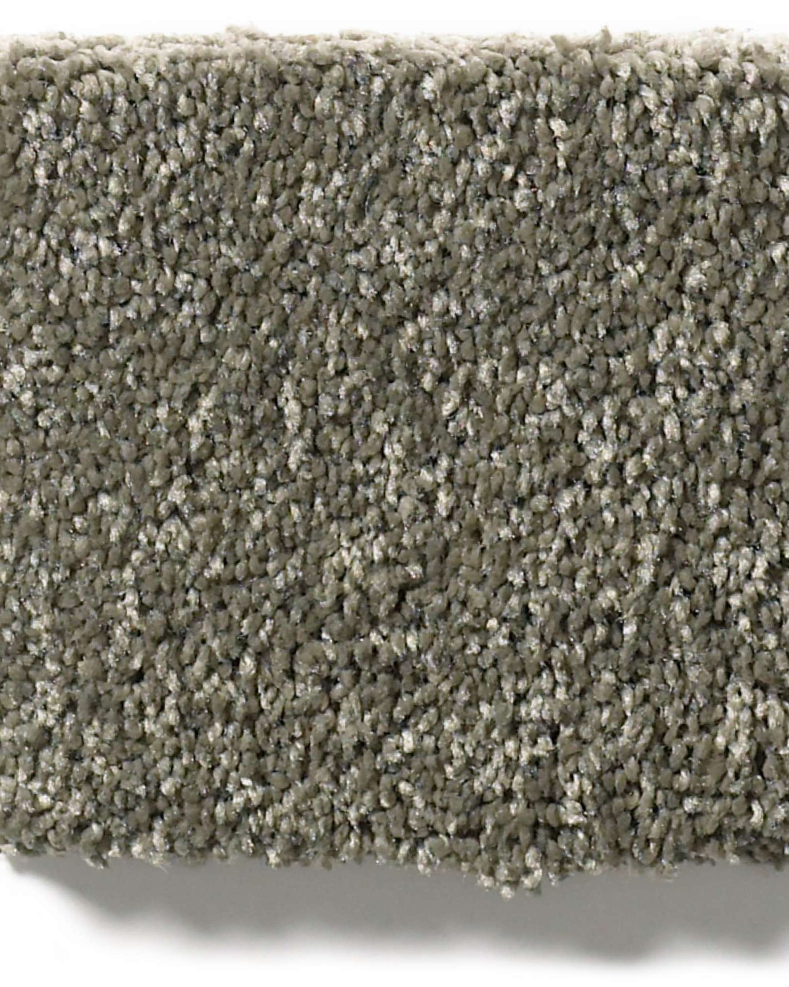 Shaw E9639 Basic Rules Portobello Carpet Exchange