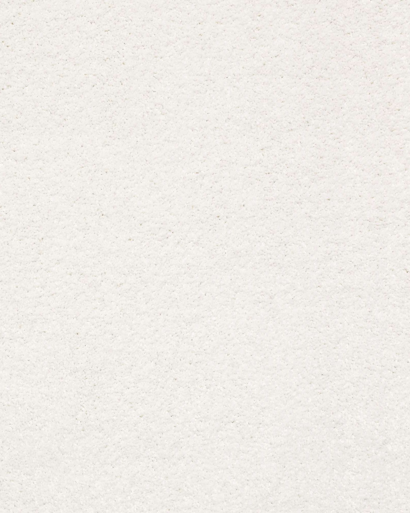 Shaw E9639 Basic Rules Super Fine Carpet Exchange