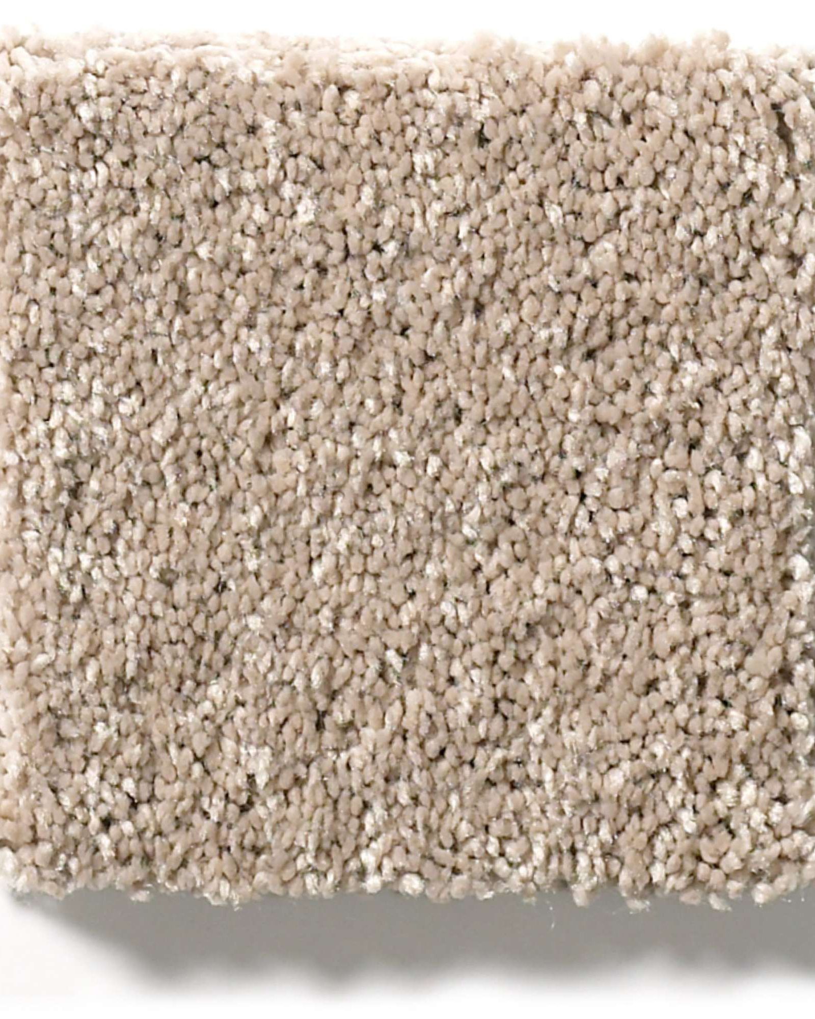 Shaw E9639 Basic Rules Toast Carpet Exchange