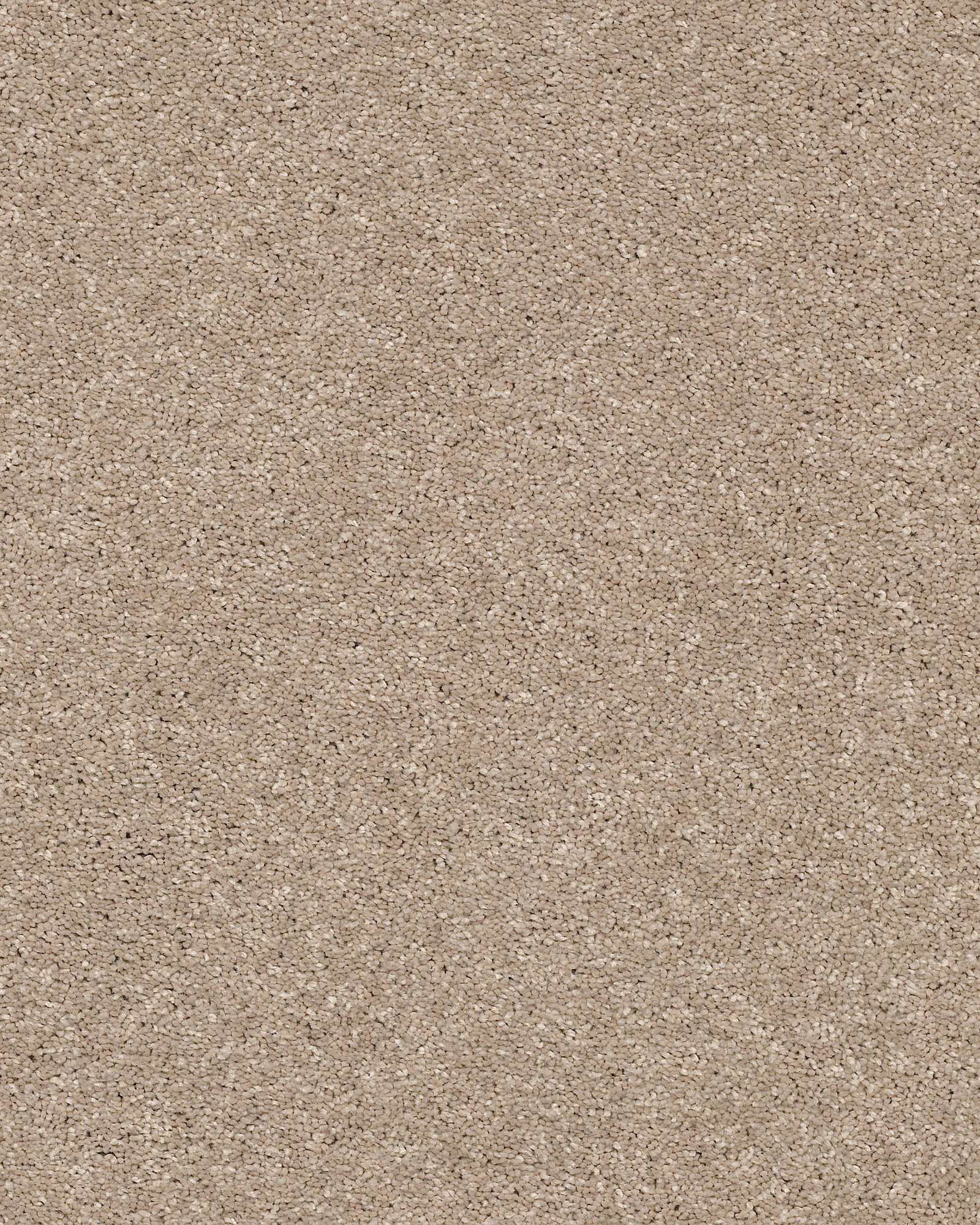 Shaw E9639 Basic Rules Toast Carpet Exchange