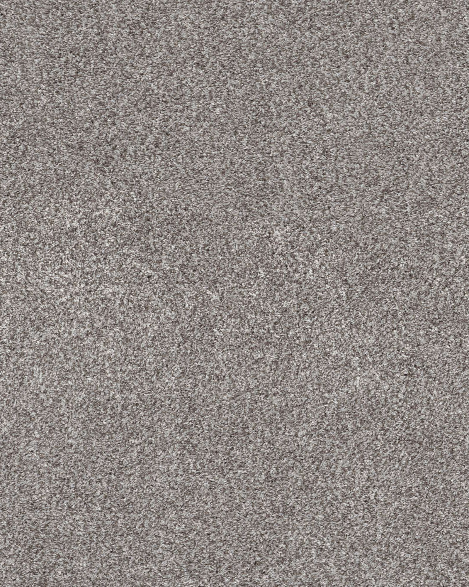 Shaw Calm Simplicity II English Streets Carpet Exchange