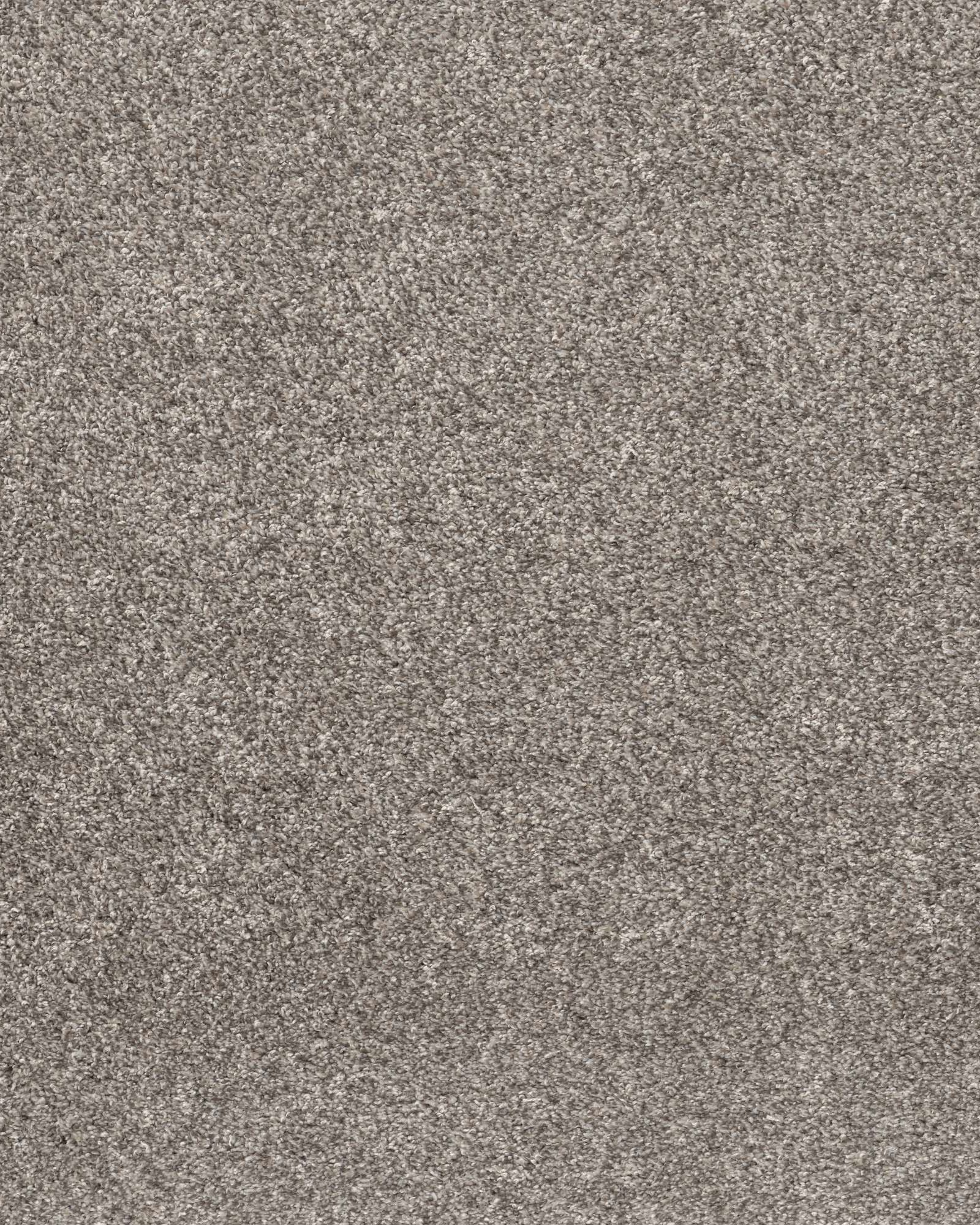 Shaw Calm Simplicity II Washed Linen Carpet Exchange