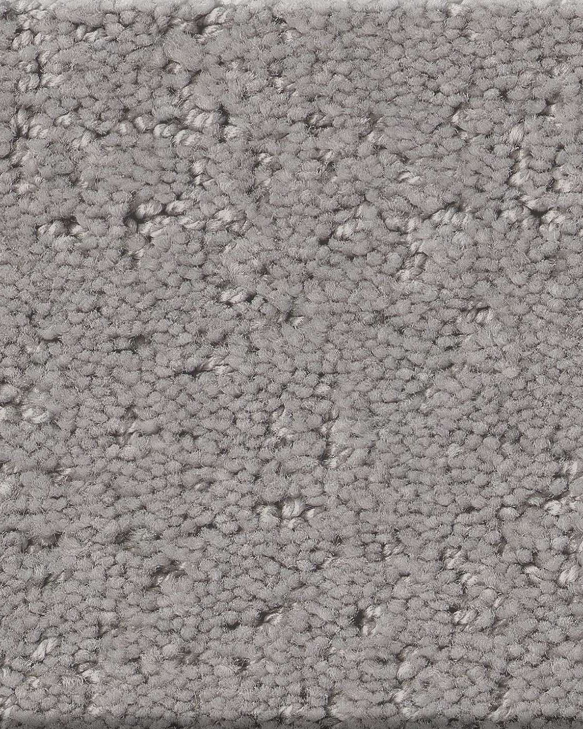 Shaw Canvas Comfort Whisper Carpet Exchange