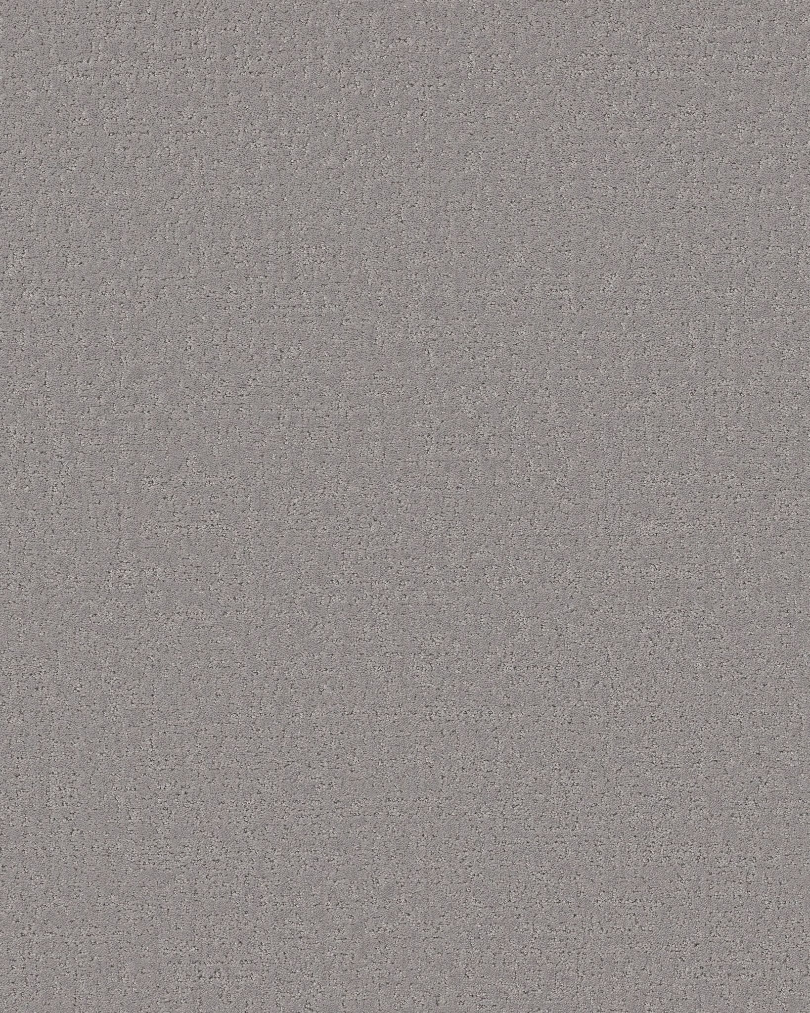 Shaw Canvas Comfort Whisper Carpet Exchange