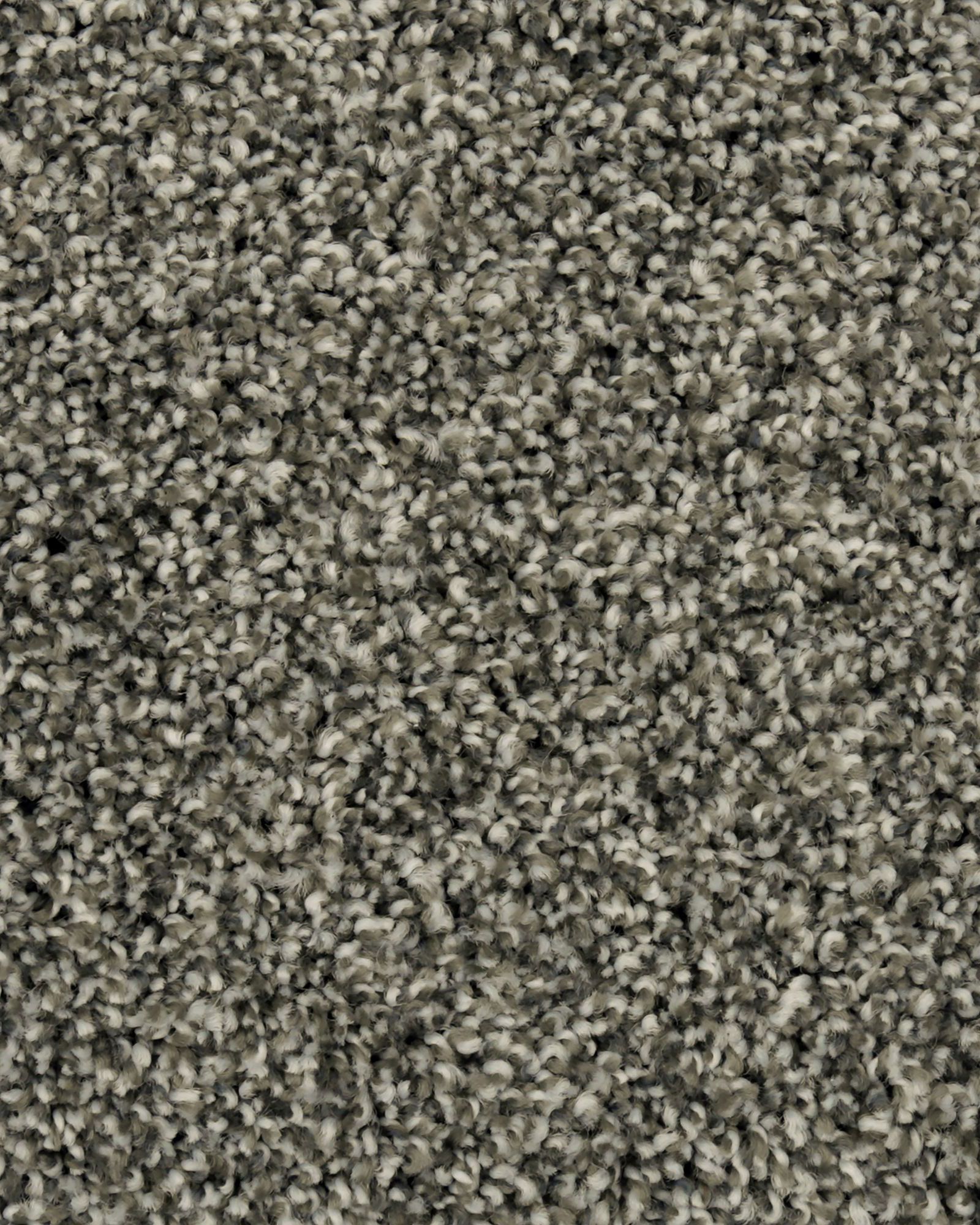 Karastan Captivating Grace Stone Path Carpet Exchange