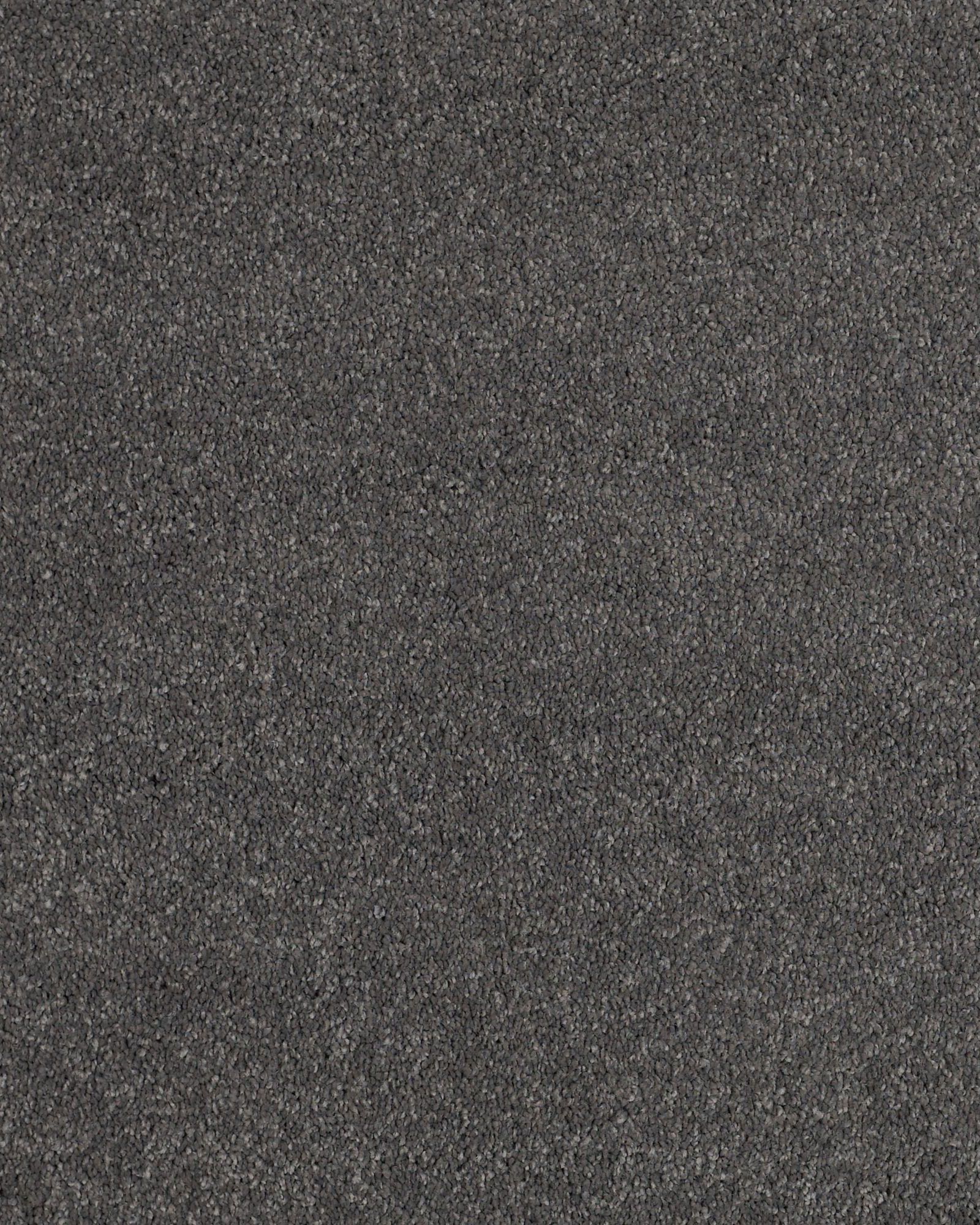 Shaw Cashmere Classic II Armory Carpet Exchange