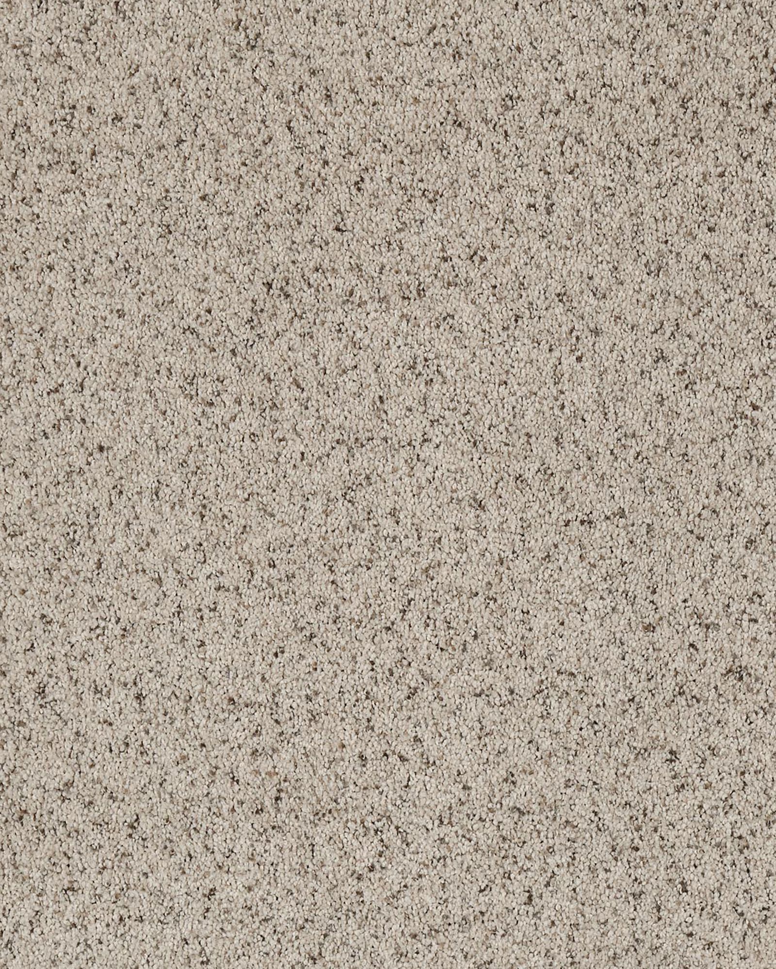 Karastan G2200 Riverwalk Heirloom Carpet Exchange