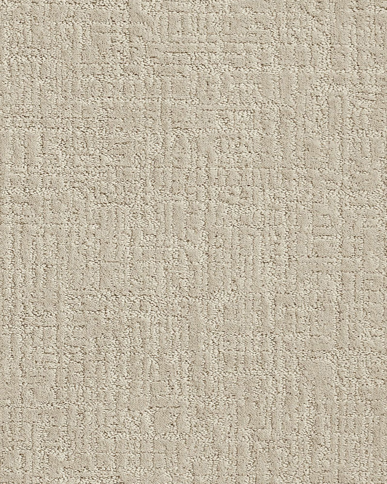 Shaw Creating Memories Homemade Ice Cream Carpet Exchange