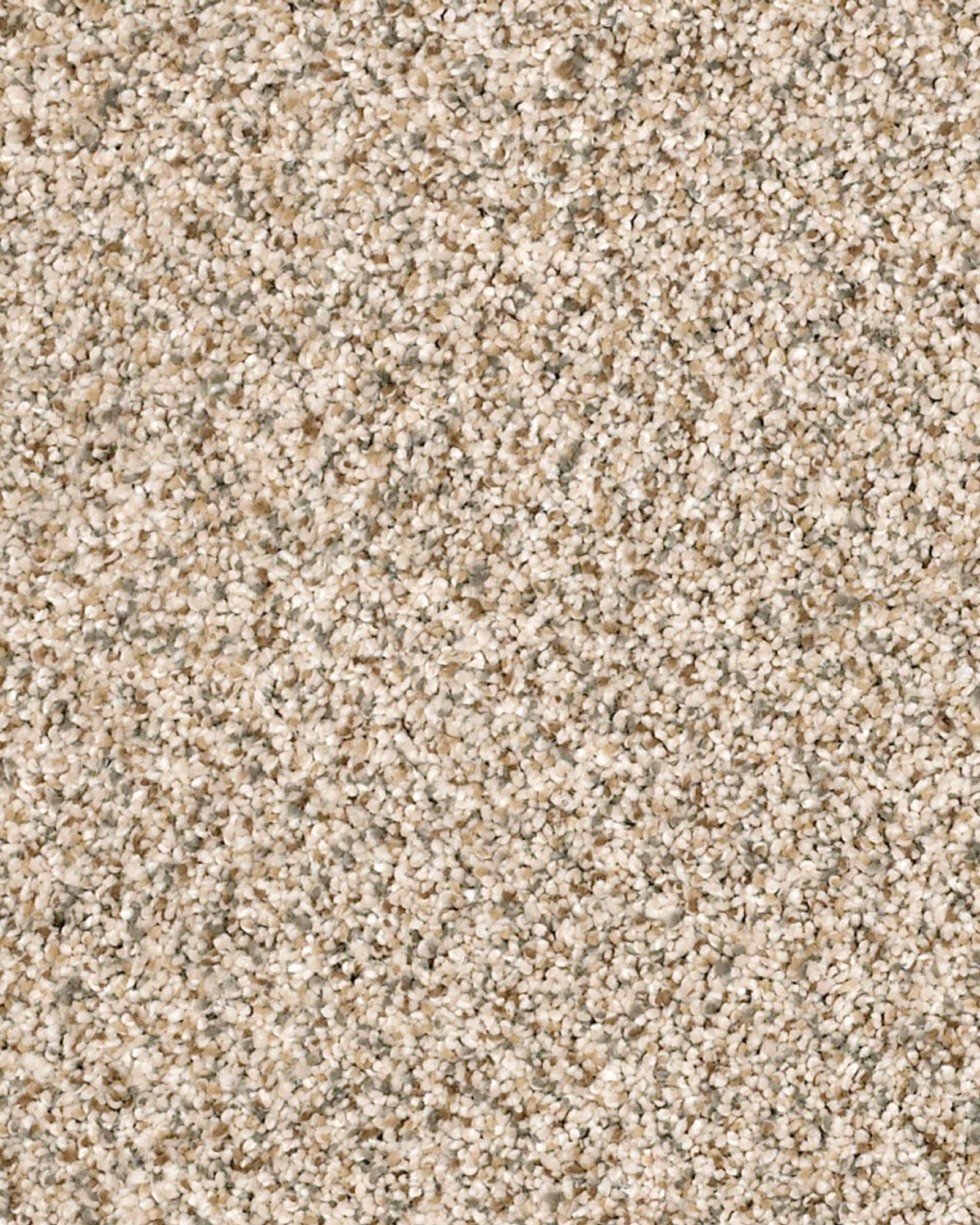 Shaw Devon Classic II Cavern | Carpet Exchange