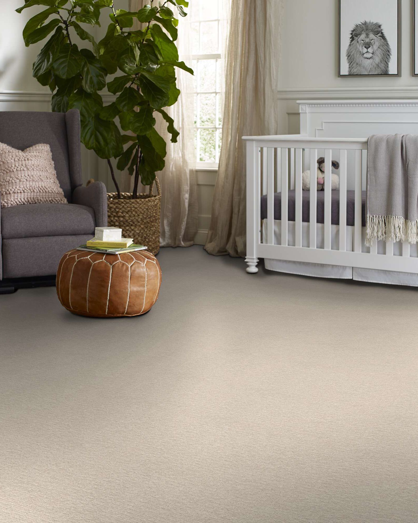 Shaw E9970 Emergence Snow Fall Carpet Exchange