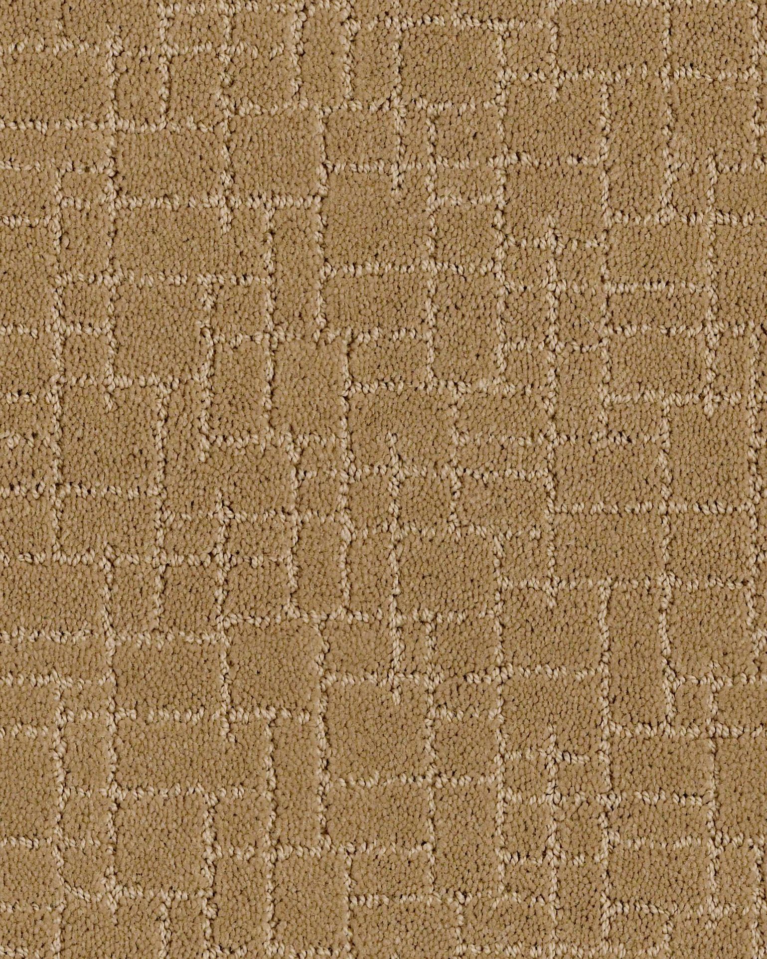 Anderson Tuftex Faux Paw Golden Straw Carpet Exchange