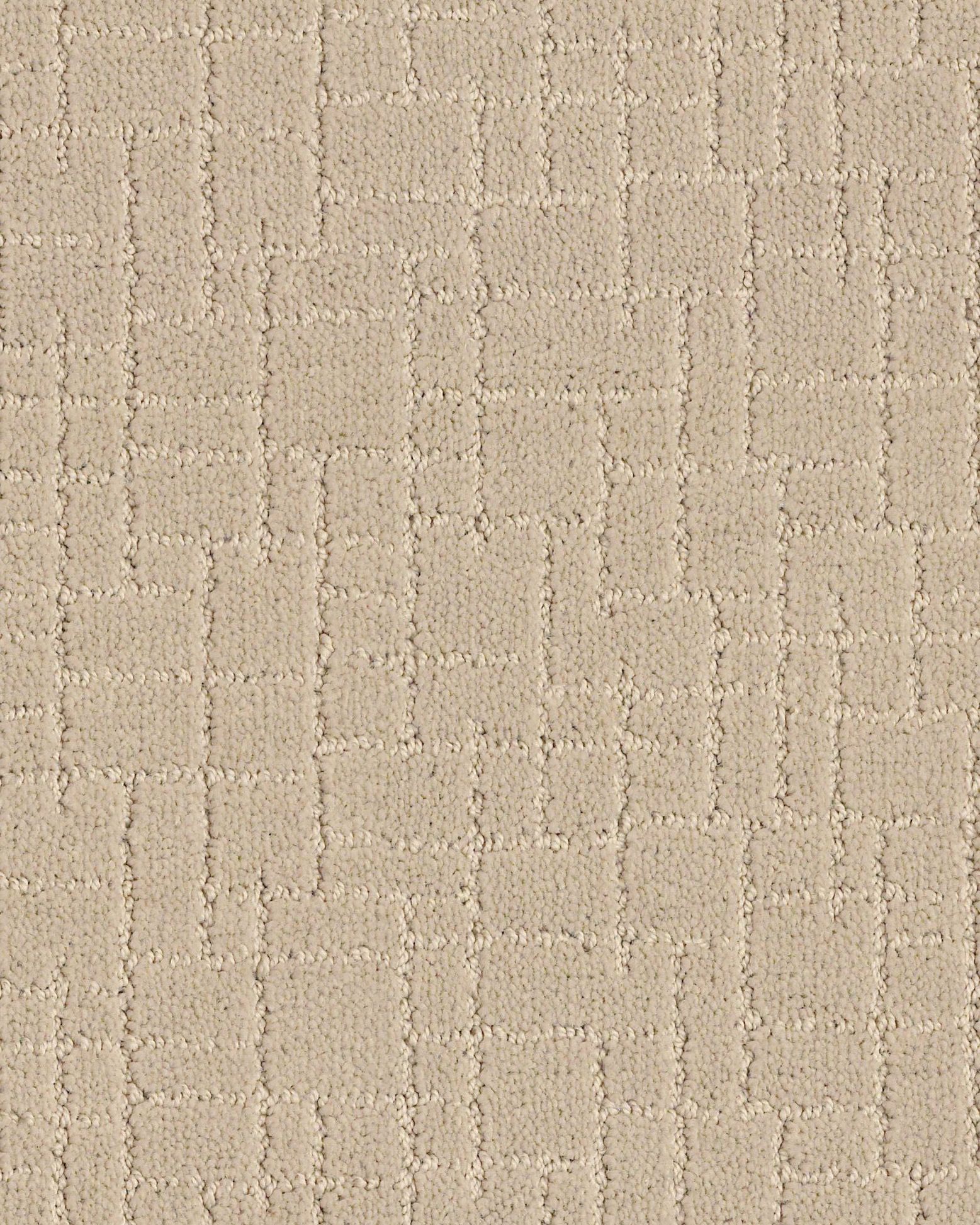 Anderson Tuftex Faux Paw Toffee Cream | Carpet Exchange