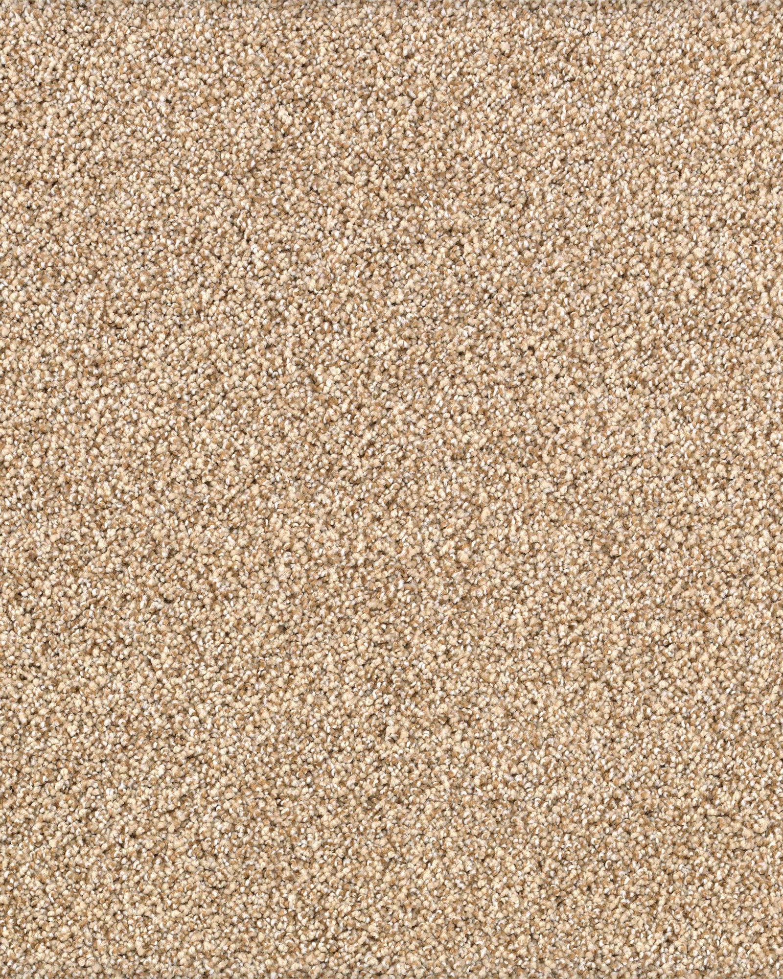 Karastan Kashmere Gentle Quality Heirloom Carpet Exchange