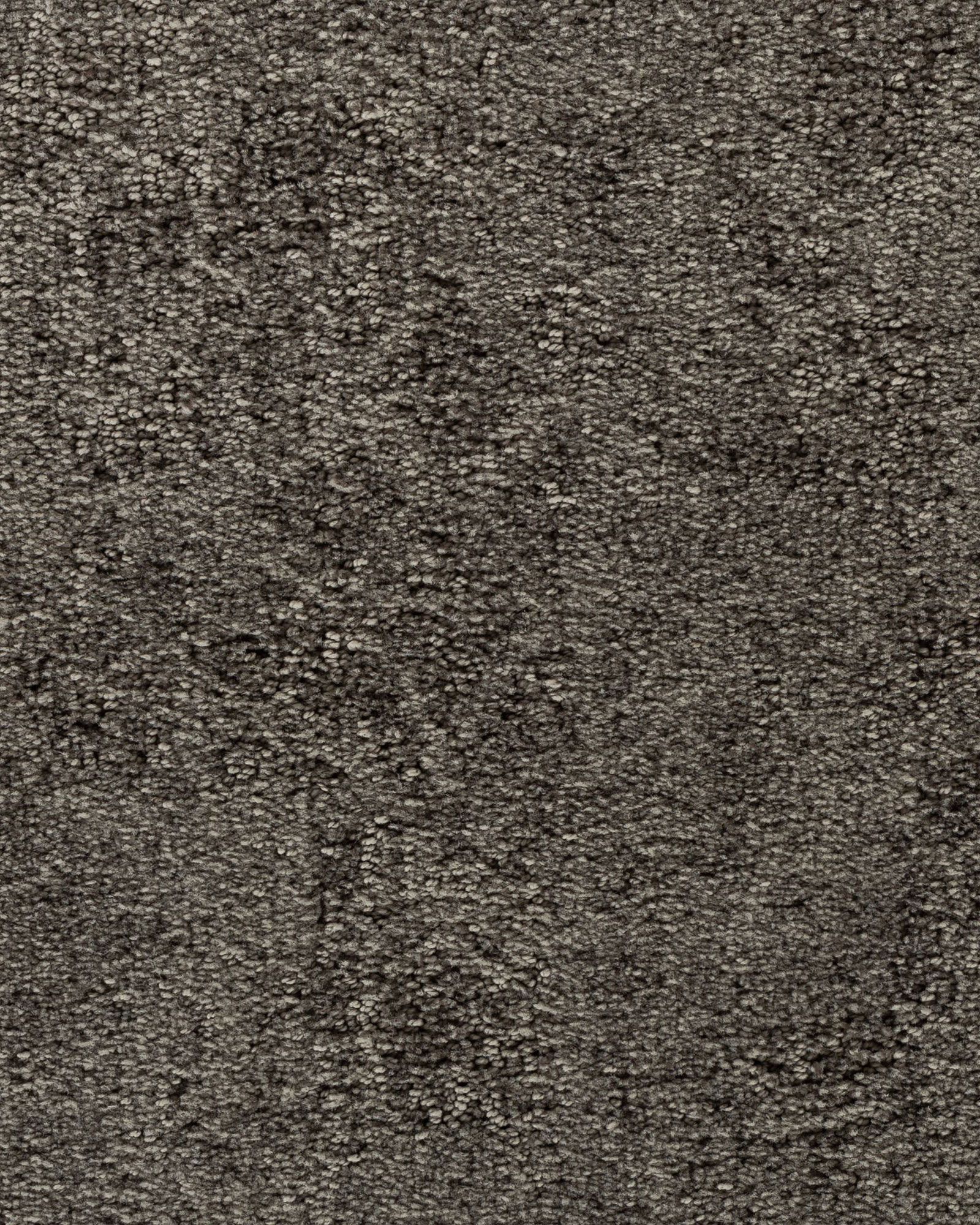 Karastan Graceful Balance Aspen Summit Carpet Exchange