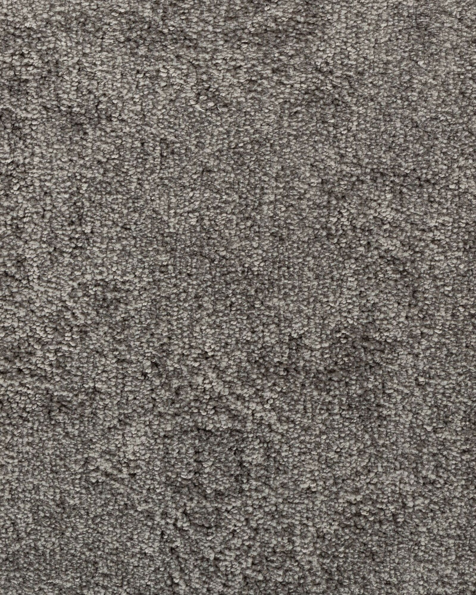 Karastan Graceful Balance Caspian Grey Carpet Exchange