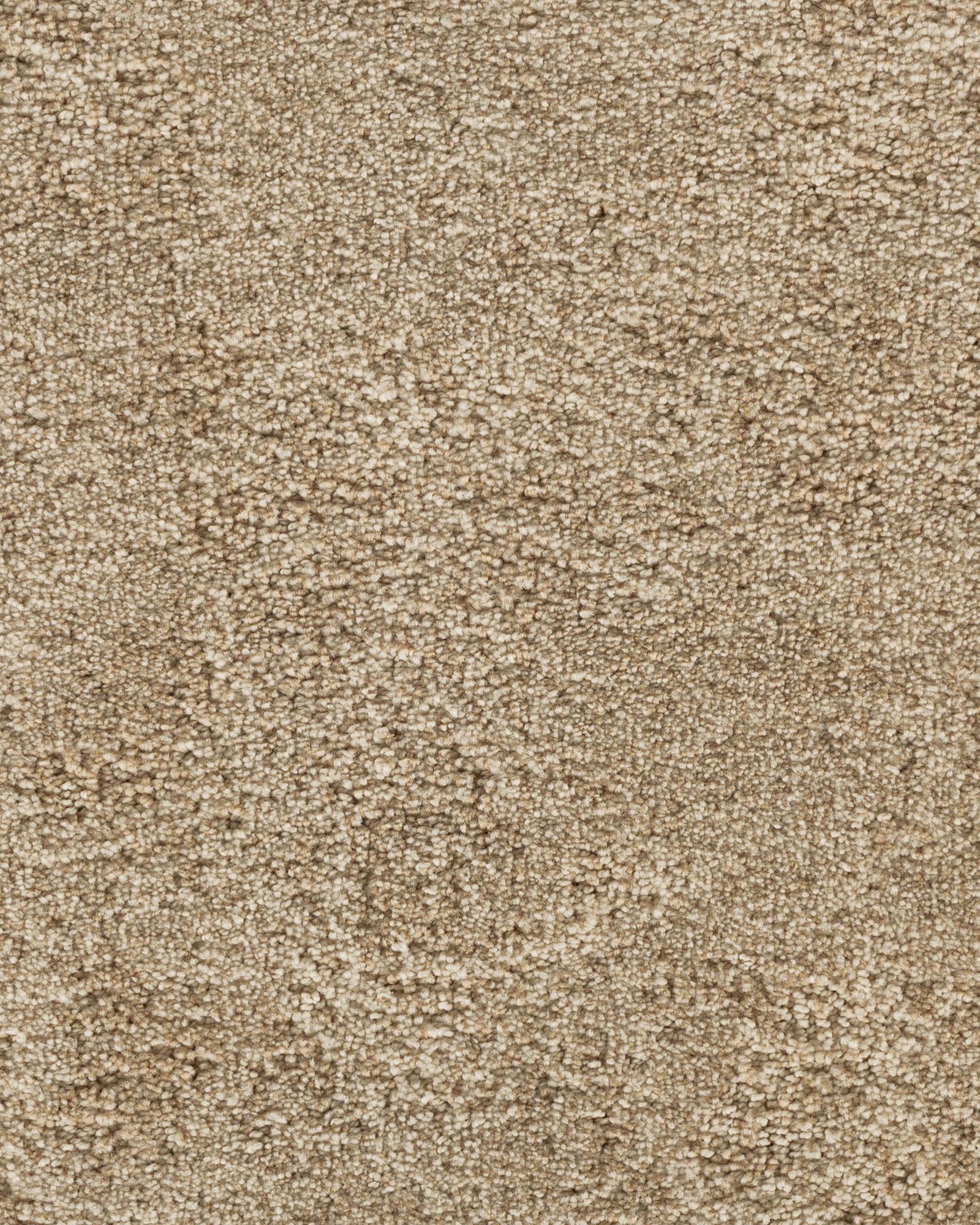 Karastan Graceful Balance Swiss Almond Carpet Exchange karastan-graceful-balance-swiss-almond-carpet-exchange