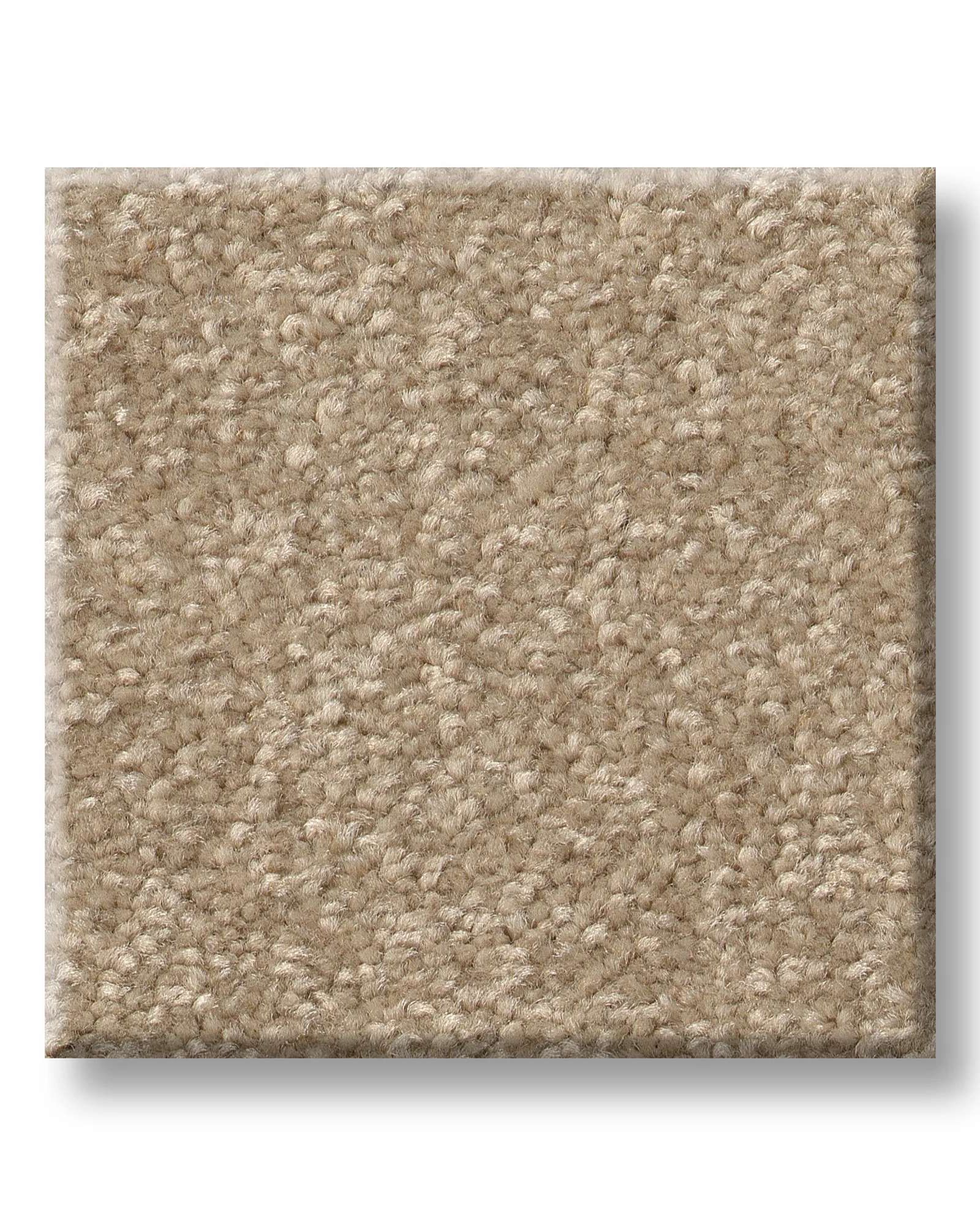 Shaw Pet Perfect Hard At Play II Worn Path Carpet Exchange