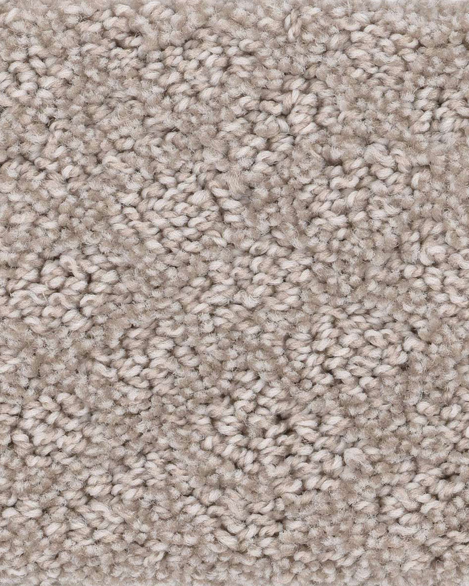 Shaw In Style Fossil Path Carpet Exchange