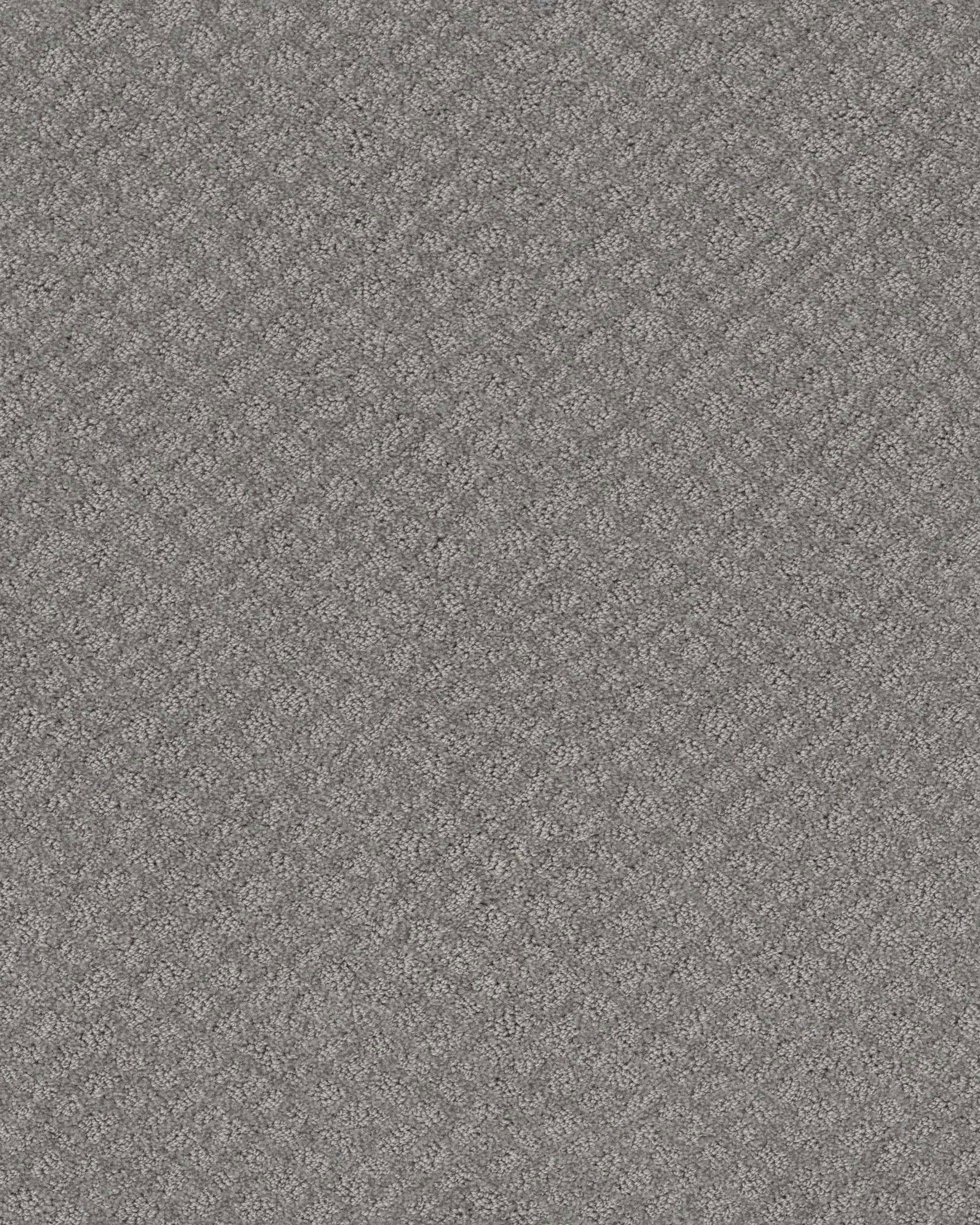 Shaw In Style Grey Fox Carpet Exchange