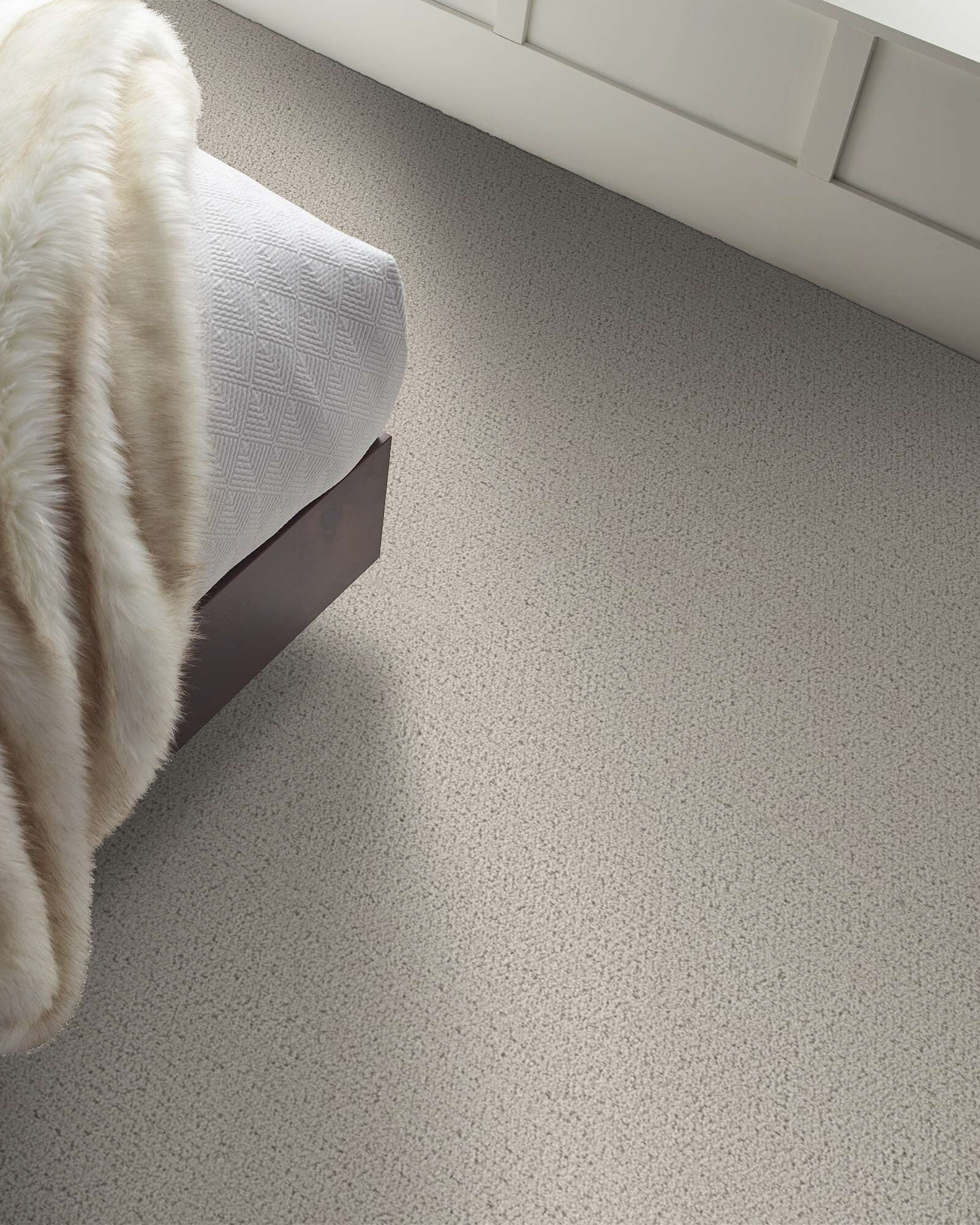 Shaw Pet Perfect Intricate Trace Carpet Exchange