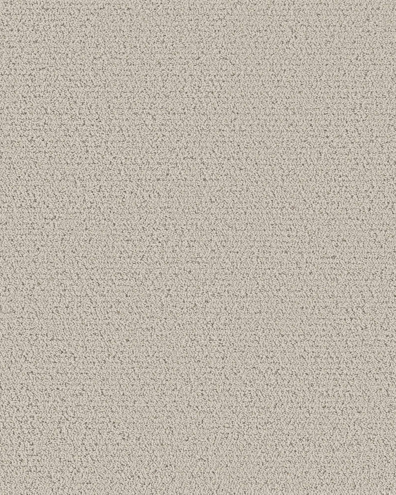 Shaw Pet Perfect Intricate Trace Carpet Exchange