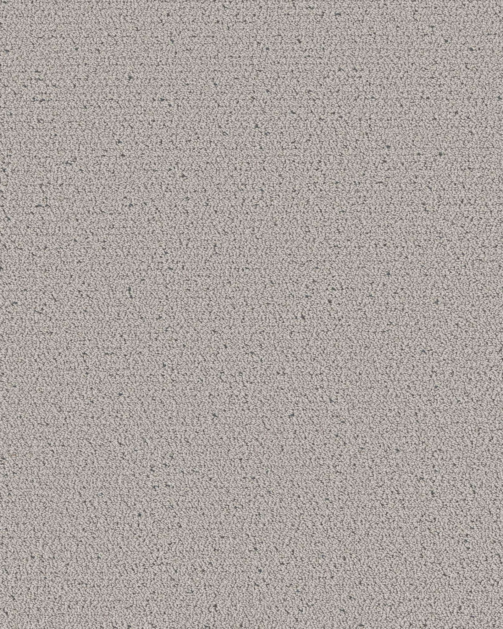 Shaw Pet Perfect Intricate Trace Flannel Carpet Exchange