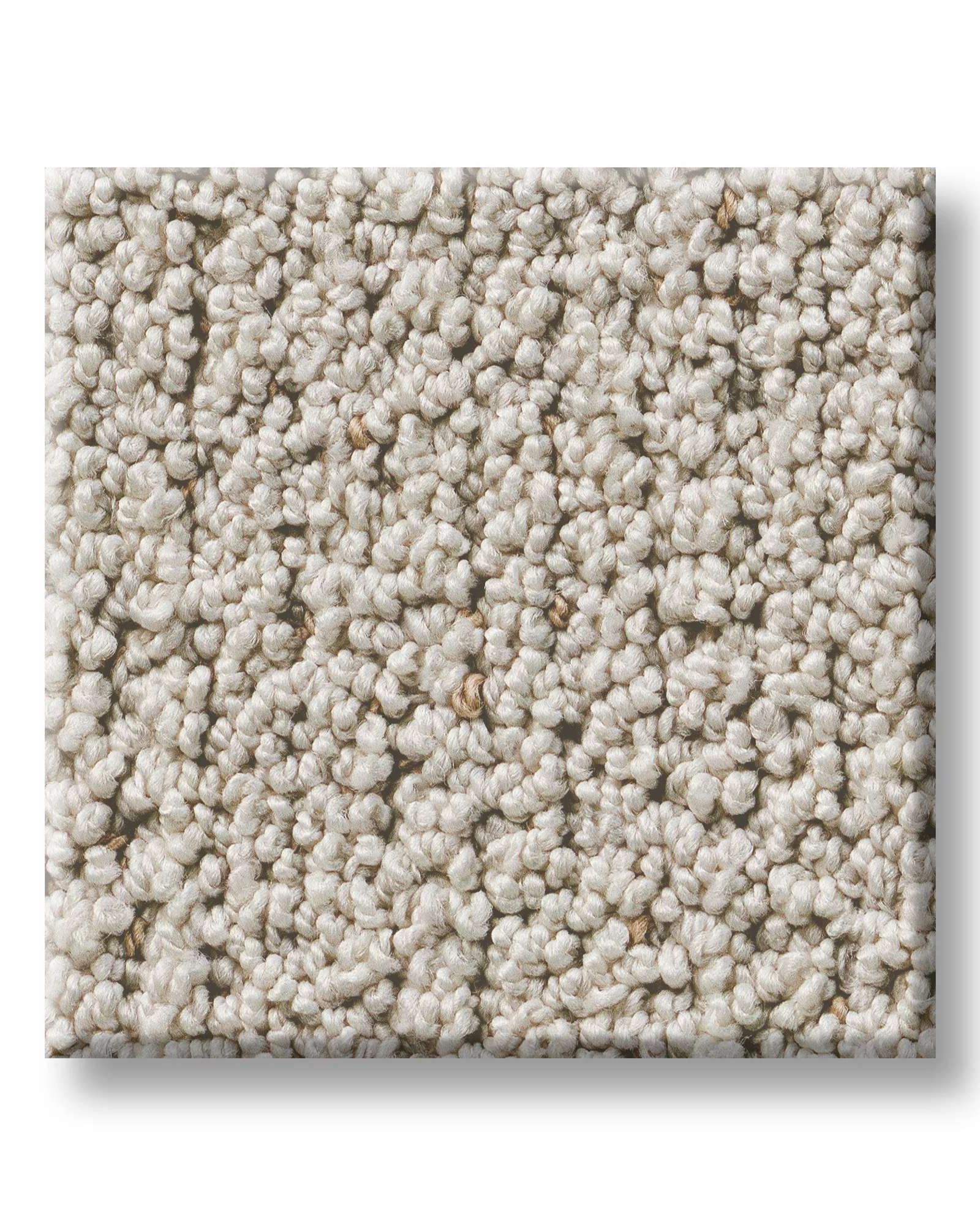 Shaw Pet Perfect Intricate Trace Natural Carpet Exchange