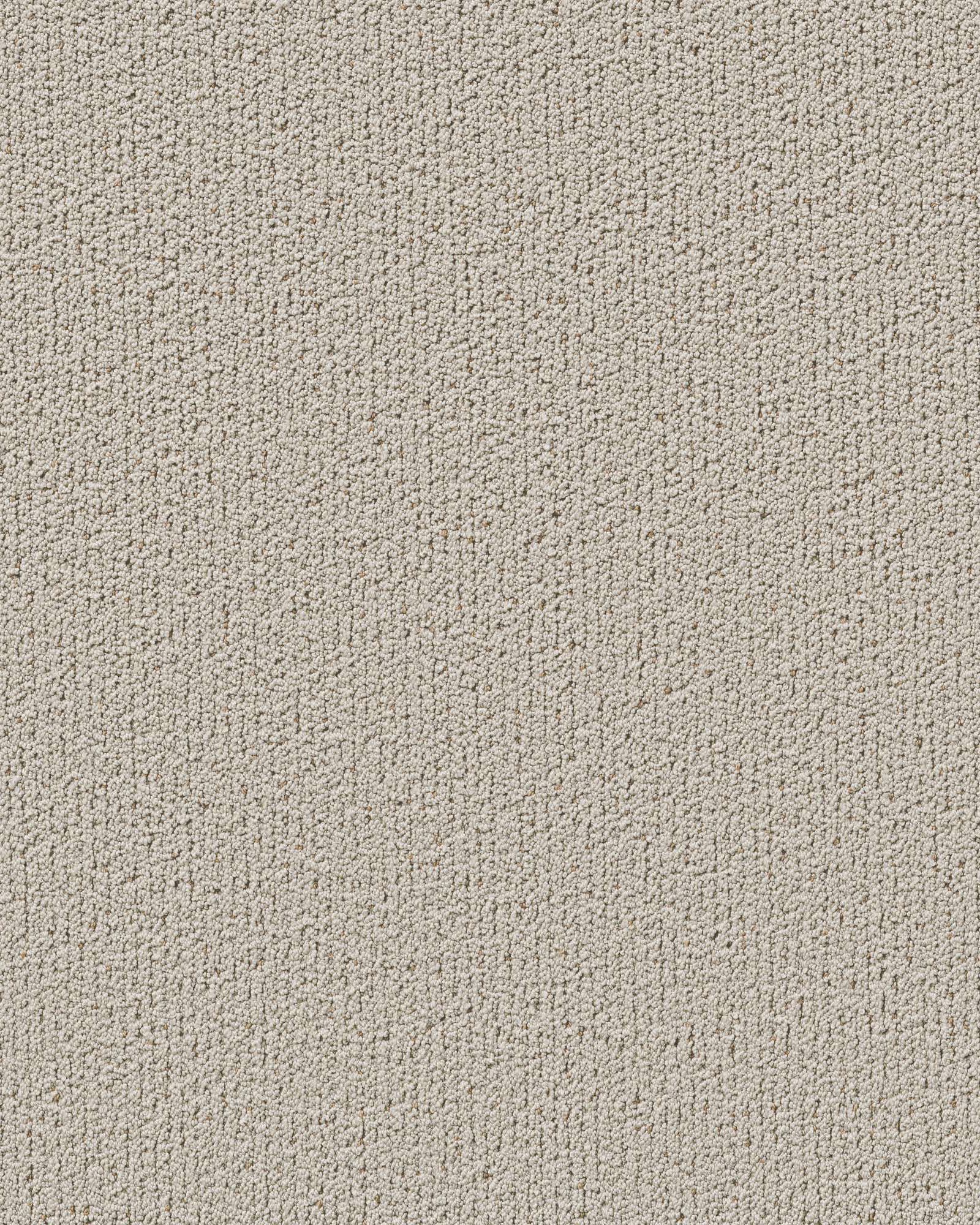 Shaw Pet Perfect Intricate Trace Natural Carpet Exchange